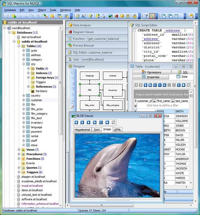 SQL Maestro for MySQL 17.5.0.10