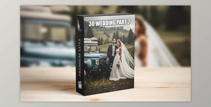 Elevate Your Wedding Films: 30 Professional Cinematic LUTs for Videographers (Videohive 50041509)