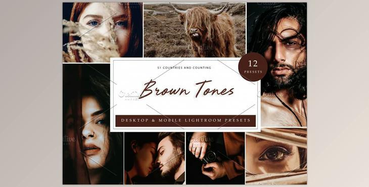 12 x Lightroom Presets, Brown Tones CreativeMarket-5962447 (XMP, DNG, LRTemplate)