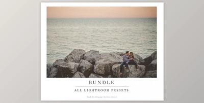ALL Lightroom Presets BUNDLE by Twig & Olive (LRTemplate)