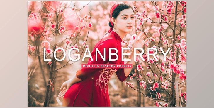 Loganberry Pro Lightroom Presets CreativeMarket - 7473584