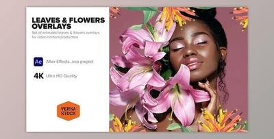Leaves & Flowers Overlays (Videohive 40203359) - AE Project