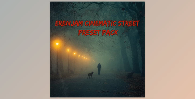 Eren Jam – Cinematic Street Presets