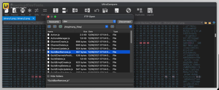 IDM UltraCompare Professional v24.1.0.5 for Win & Linux & macOS + Portable Edition + Patcher