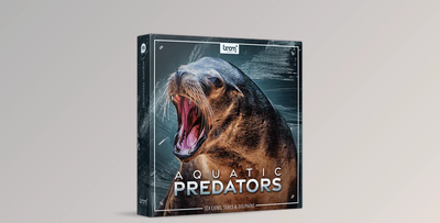 BOOM Library Aquatic Predators