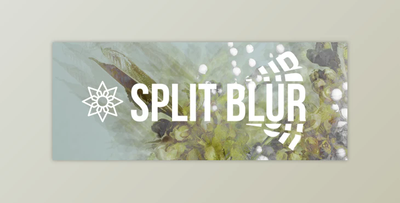 Aescripts Split Blur v1.3.2 (Win, Mac-v1.1.1)