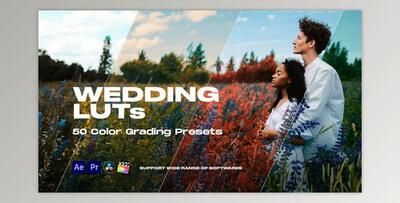 Colorify Wedding LUTs (Videohive 35877709) - PR Project