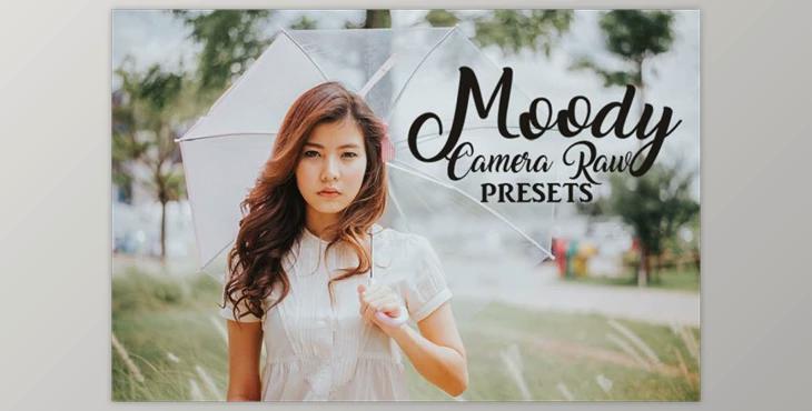 Camera Raw Preset Collection By italida ColorShop (XMP, JPG)