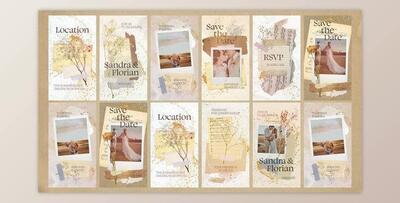 Wedding Invitation Collage Vertical Reel (Videohive 51212393) - AE Project