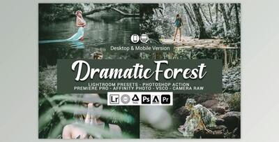 Dramatic Forest Presets By DreamColor