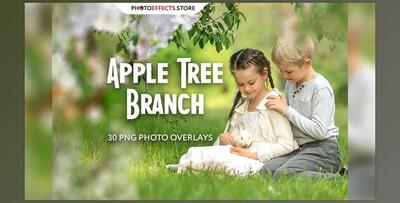 30 Apple Tree Branch Photo Overlays