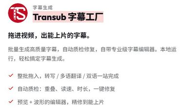 Transub 字幕工厂 v3.2.11