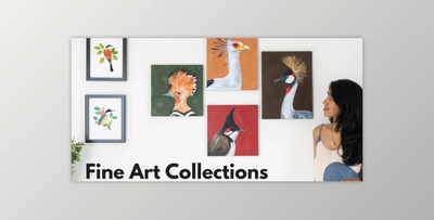 From Hobbyist to Professional Artist : Paint a Fine Art Collection