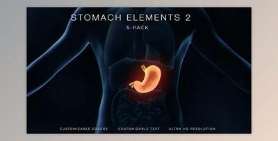 Stomach Elements 2 (Videohive 33200534) - AE Project