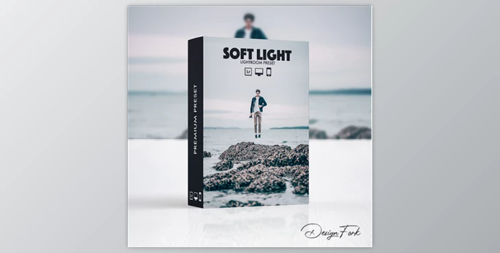 Soft Light Lightroom Preset By DesignFork