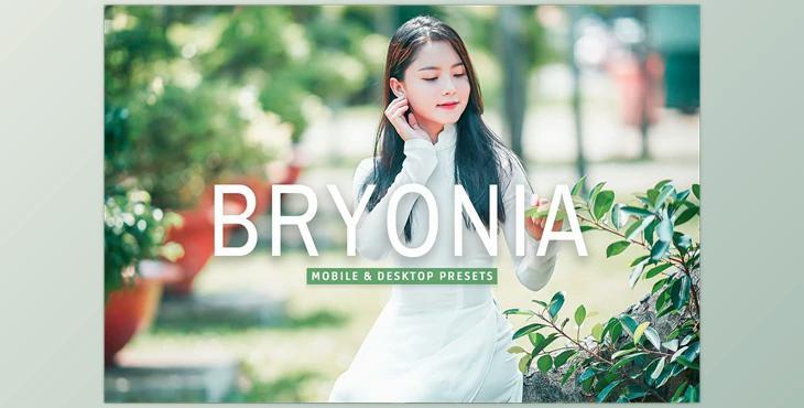 Bryonia Pro Lightroom Presets CreativeMarket - 7375229