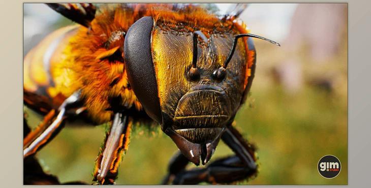 Unreal Engine - Animalia - Honeybee (Engine version 4.24- 4.27, 5.0- 5.2)