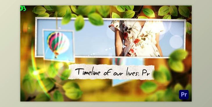 Timeline Of Our Lives: Pr (Videohive 45228412)