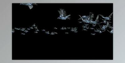 20 Crow Bird Bat Flying HD (Videohive 47633191)