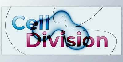 Aescripts Cell Division v1.3