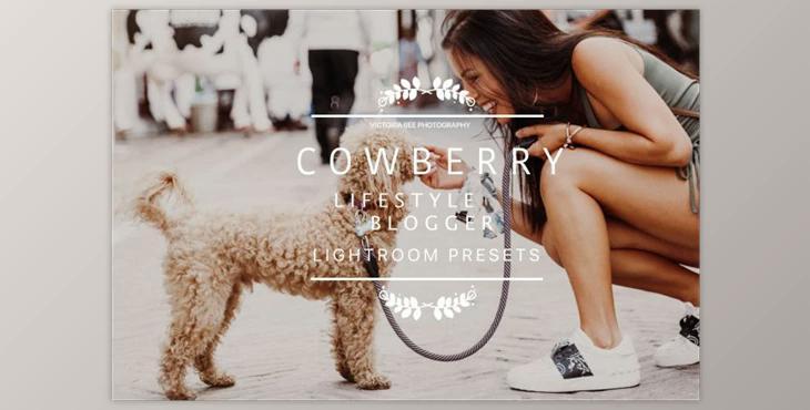 Desktop Lightroom Presets COWBERRY (LRTEMPLATE)