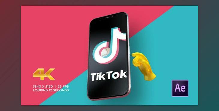 TikTok Promo (Videohive 28202439)