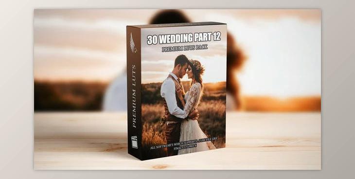 Professional Cinematic LUTs Collection: 30 Wedding Video Presets for Elite Videography (Videohive 50111508)
