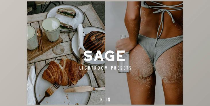 12 SAGE LIGHTROOM PRESETS CreativeMarket - 6853881