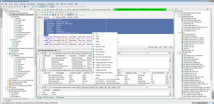 Embarcadero InterBase 2020 Update 5 v14.5.0.864