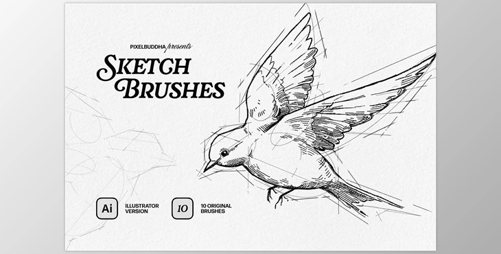 Sketch Brushes for Illustrator - 92539161