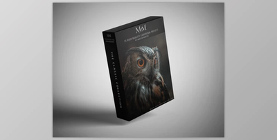 Morten Munthe Presets Classic Collection