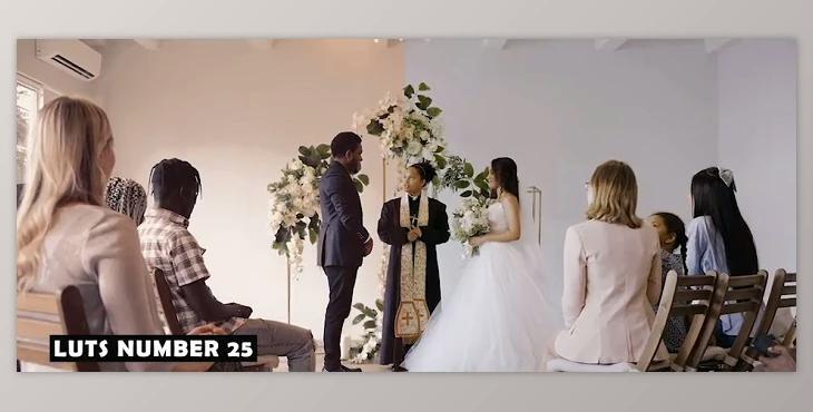 Cinematic Excellence: 30 Pro-Grade Wedding LUTs for Videographers (Videohive 50092234)