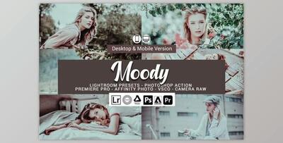 Moody Lightroom Presets and LUTs By DreamColor