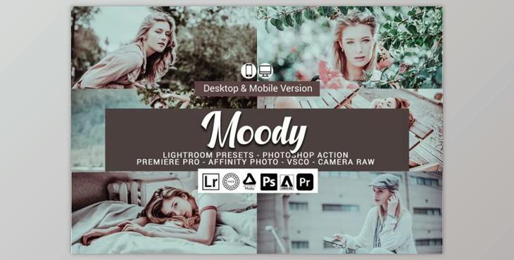 Moody Lightroom Presets and LUTs By DreamColor