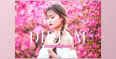 Diptam Pro Lightroom Presets CreativeMarket - 7178684