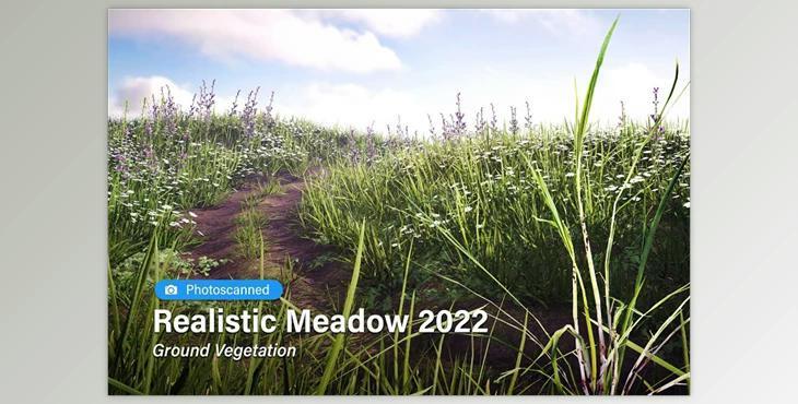 Unity Assets - Realistic Meadow 2022 - Ground Vegetation v2022.0.1