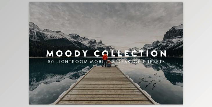 50 Moody Lightroom Presets and LUTs