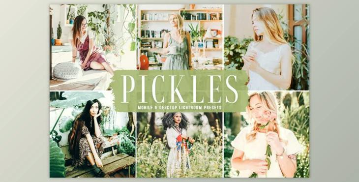 Pickles Mobile & Desktop Lightroom Presets by creativetacos