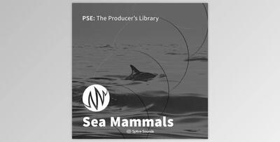 PSE The Producer’s Library Sea Mammals