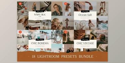 18 TOP Chic Presets Bundle By BukeShop