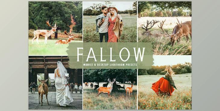 Fallow Pro Lightroom Presets CreativeMarket - 6639851