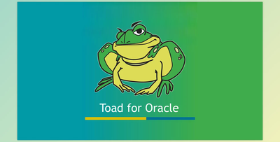 Toad for Oracle 2024 Edition v17.1.717.3711 for Win x64 & x86 + Activation Key