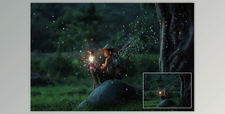 Magic Fireflies Vol. 1