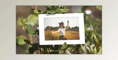 Summer Days (Motionarray 256682) - AE Project