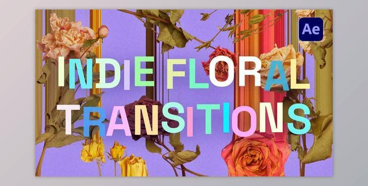 Indie Floral Transitions (Videohive 40119568) - AE Project
