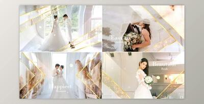 Elegant Particle Wedding Slideshow (Videohive 31687220) - AE Project