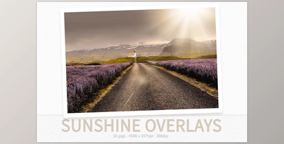 Sunshine Overlays - 92472433