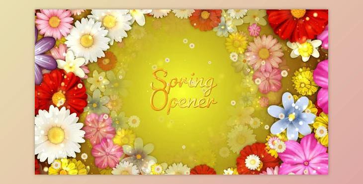 Spring Flowers Titles (Videohive 36766429) - AE Project