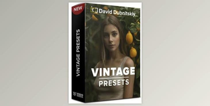 David Dubnitskiy – 20 Vintage Presets (XMP)