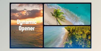 Dynamic Gallery Opener (Videohive 50160450) - AE Project